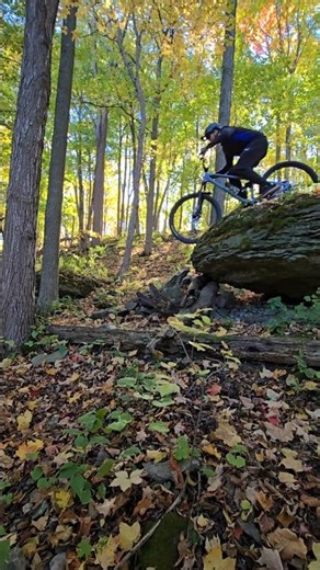 Fall mtb hits different #mtb #shorts