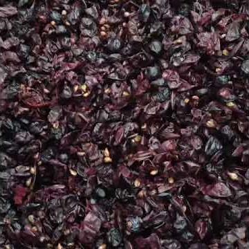 Punching Down Grape Skin Cap of Red Wine Fermentation
