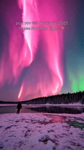 61 reactions | Spellbound by the Northern Lights dancing across...