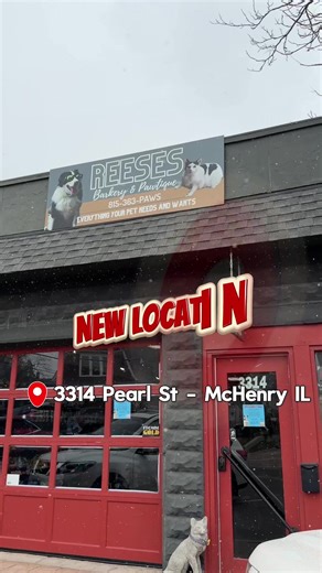 Reeses Barkery & Pawtique is back at a temporary location right around the corner from their original shop and they’re fully stocked on dog food, treats, and all the goodies. If you haven’t ever come and shopped here, here’s your chance to stop by and check it out. 🐾 📍 3314 Pearl St – McHenry Tag a fellow dog parent so they know they’re open again 🐾 #mchenry #SupportLocal #DogTreats #PetStoreFinds