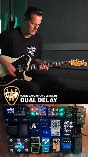 Walrus Audio D1 Dual Delay 🙌