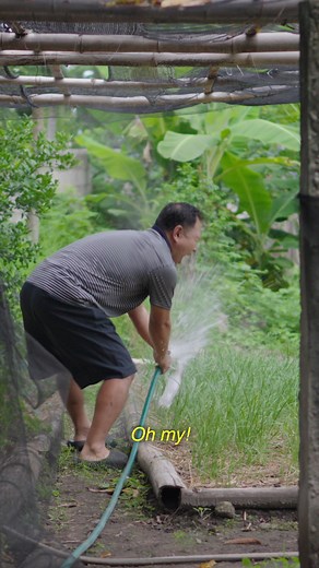 579K views · 16K reactions | Koreans Gardening in Philippine Province and Cook Filipino Breakfast Food Silog Meal #buhayprobinsya #Philippines #filipinofood #SilogMeals | Bapmukjago 밥먹자go | Facebook