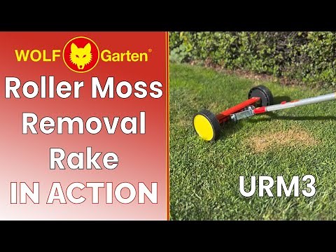 Wolf Moss Removal Rake URM3