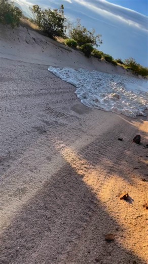 A #WelltonStation agent captured the effects of a desert rainstorm. #videofromthefield #sonorandesert #desertlife #desertrain | US Border Patrol Yuma Sector
