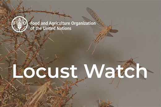 FAO Commission for controlling the Desert Locust in Western Region (CLCPRO) - A Success Story