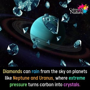 Colors Of Nature on Reels