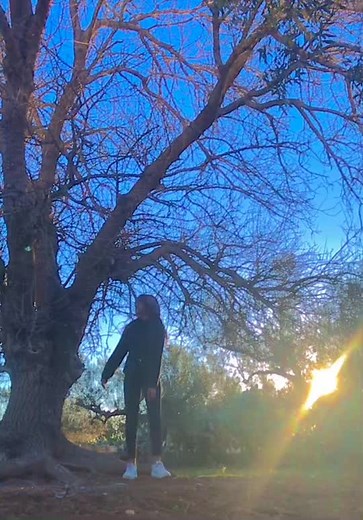 Person Enjoying Nature Under a Large Tree
