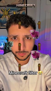 Minecraft filter game 😱! #minecraft #filter #reels #reelsvideo #reelsinstagram | The Filter Dude