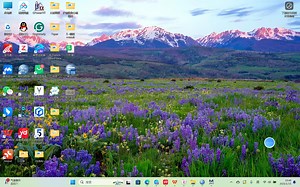 AMOS许可证过期了怎么办，散步即可解决