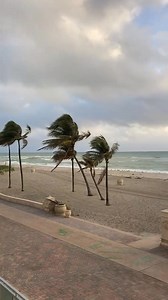 1.8K views | Hayes street moments ago | Hollywood Beach TV | Facebook