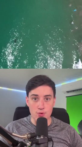 Do sharks actually see humans as food? Science weighs in