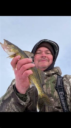 Fun sized, three species day. Always a good day on the ice!