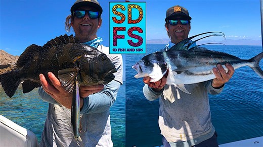 Rooster fish cabrilla and boat rescue fishing in Loreto Baja California Sea of Cortez