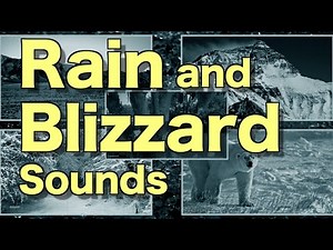 12 Hours Winter Blizzard Snowstorm Rain Thunder Sounds | Heavy Howling Wind and Snow Sounds