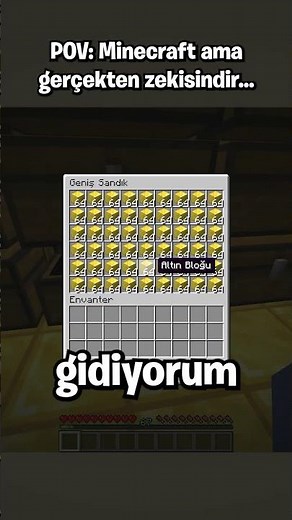 200 IQ Minecraft Planım **Nasıl** Çöktü? 🧠🥲