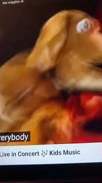 The Wiggles Wave To Wags Live (1997)