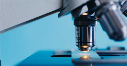 Pourquoi les cellules se divisent-elles ?