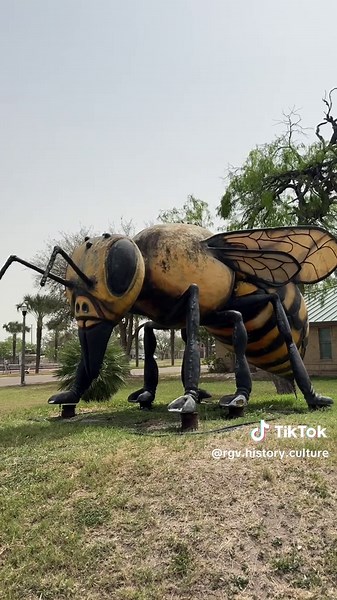Discovering the History of the Giant Bee in Hidalgo