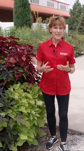 Volunteers & Donated Plants Shine 🌸 | Nebraska State Fair Container Gardens | Backyard Farmer