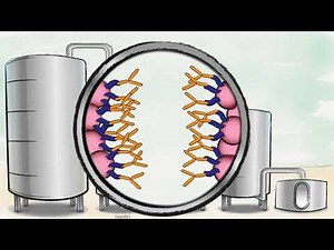 Biopharmaceutical production process