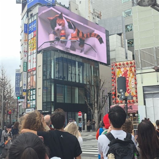 Kathleen Loserfruit The Great on Instagram: "Tokyo photo dump 📸 Mario kart WINS out of everything we did in our 3 days 🥰"