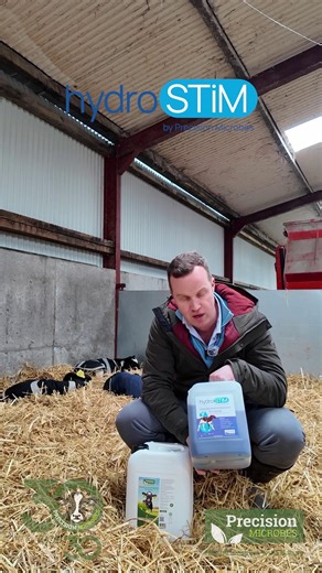 🐄 The calm before the storm… spring calves are arriving. Digestive upsets happen — here’s the simple protocol farmers are using 👇 🦠 30ml Precision Microbes daily ➕ Extra during digestive upsets 💧 Hydro-STIM electrolyte for rehydration Simple. Practical. Effective. #CalfHealth #DairyToBeef #CalfRearing #PrecisionMicrobes