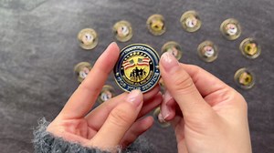 24 Pcs Military Challenge Coins Veteran Thank You for Your Service Coins Veterans Day Gifts Military Appreciation Gifts for Men Women Veterans Gift