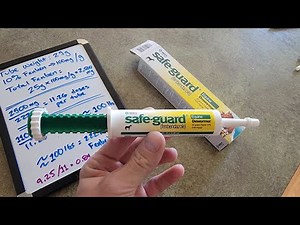 How to Dose 222mg Fenbendazole for your mini horse