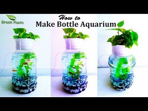 How to Make Plastic Bottle Aquarium | Small Aquarium With Fish//GREEN PLANTS
