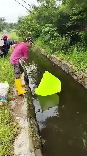 La session de pêche de ces gens est incroyable #poisson #animaux #pêche #fishing #shorts #foryou
