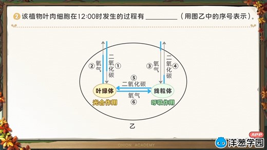 53 碳氧平衡解题课