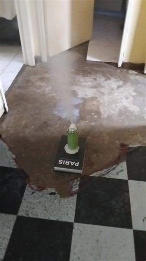 Effective Fogging After Cockroach Fumigation