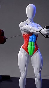 How to Actually Train Abs With Machines! Use machines the right way for real ab training. Cable crunches load the abs through controlled spinal flexion, captain’s chair knee raises hit the abs with lower-back support, and cable woodchoppers strengthen the obliques with controlled rotation. Train smarter with @fitonomyapp 💪 #abworkout #coretraining #gymabs #cableworkout #fitnesstips | Fitonomyapp