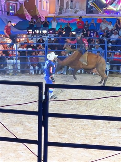 🐂✨️ #rodeo #guatemala #huehuetenango #fyp #montas