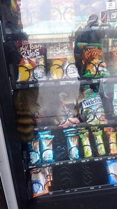 1.8M views · 42K reactions | CAUGHT RED-HANDED: This raccoon was...