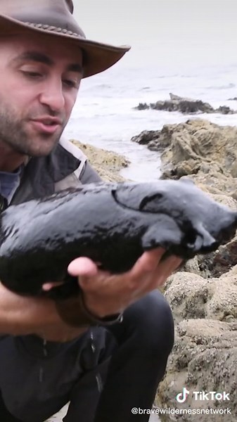 Discovering Huge Slimy Slugs in Nature