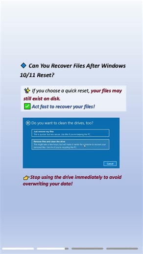 Recover Files After Windows 10/11 Reset