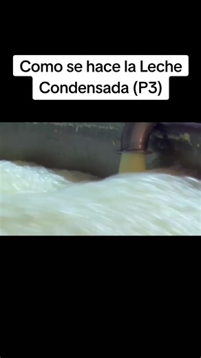 Proceso de Fabricación de Leche Condensada