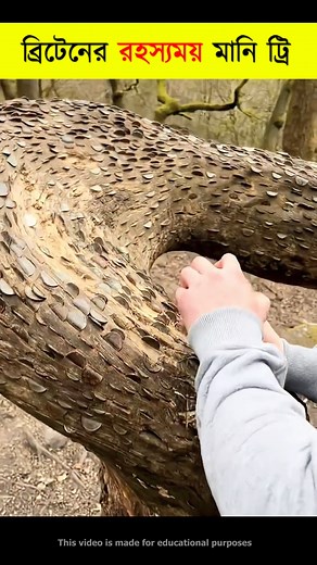 265K views · 1.2K reactions | The Mysterious Money Tree of Britain| #reel #trendingreels #moneytree #britishtradition #weirdfacts #ukculture #ancienttraditions #historymystery #unusualtraditions #amazingfacts #trendingshorts #knowledge #facts #new #top | কল্পবিশ্ব | Facebook