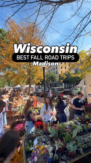 30K views · 23 reactions | You need to add Madison, WI to your list...
