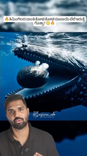 Whale Vomit Worth Crores 😳 The Secret Behind Ambergris #shorts #wildlife