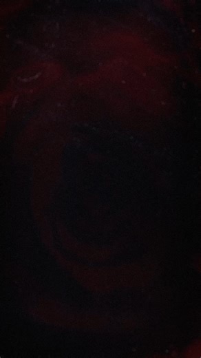 This Valentine’s season, share an unforgettable evening with me in Chicago on Feb 25, as we celebrate the Romanza 30th Anniversary Tour. 🌹 Get tickets now. | Andrea Bocelli