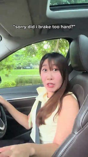 Successful Brake Check: What You Need to Know
