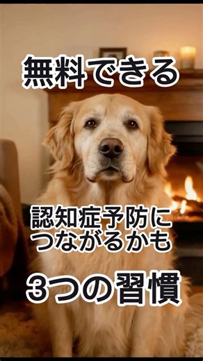 犬の認知症を抑える！？３つの習慣