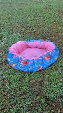 Inflatable pool gets water where the air should be. Part one.