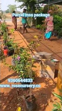 மேட்டூர் சூப்பர் சர்வீஸ் ஆன்லைனில் ஆர்டர் செய்த கஸ்டமர் அவர்களுக்கு ஓப்பன் பார்சல் டெலிவரி செய்யும்