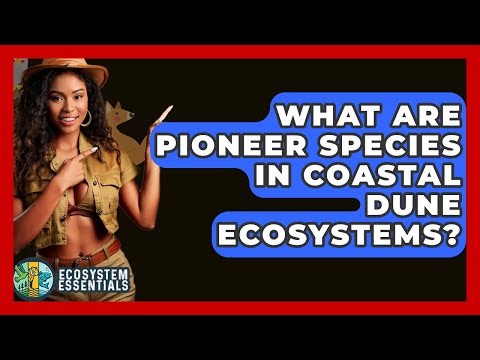 What Are Pioneer Species In Coastal Dune Ecosystems? - Ecosystem Essentials