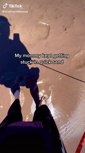 Dramatic Quicksand Rescue: Hiking Adventures with Dog Mom