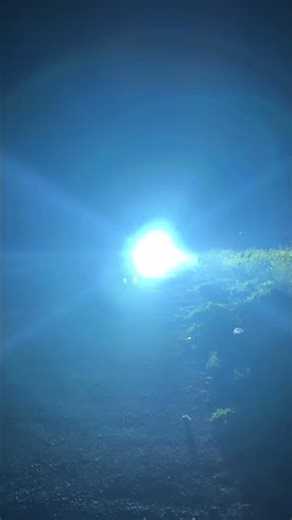 Best lights setup in bolero🤩🔥