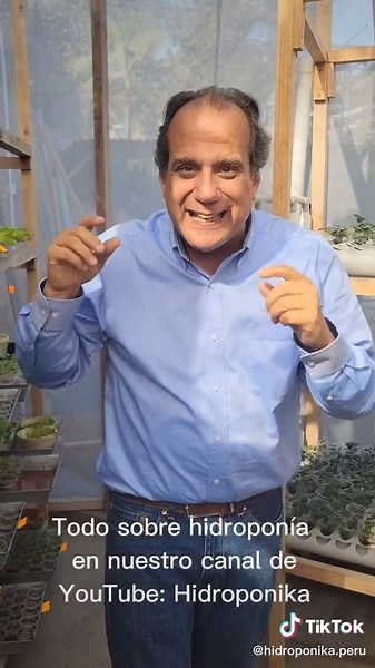 Deliciosos vegetales totalmente ecológicos con hidroponía. #saludable #hidroponika #comidasaludable #hidroponia #hidroponia #fit #huertoencasa #parati #foryou #huerto